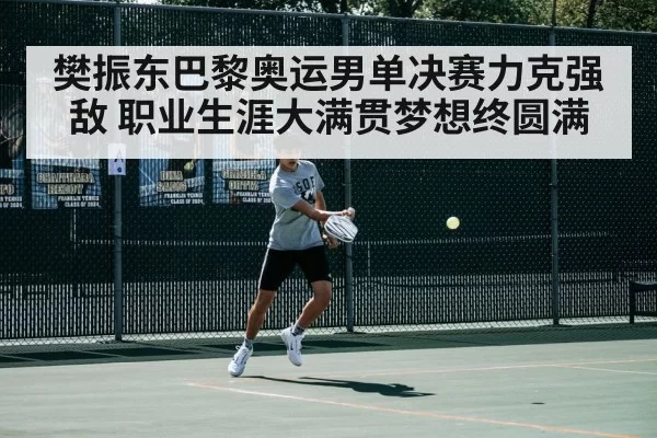樊振东巴黎奥运男单决赛力克强敌 职业生涯大满贯梦想终圆满